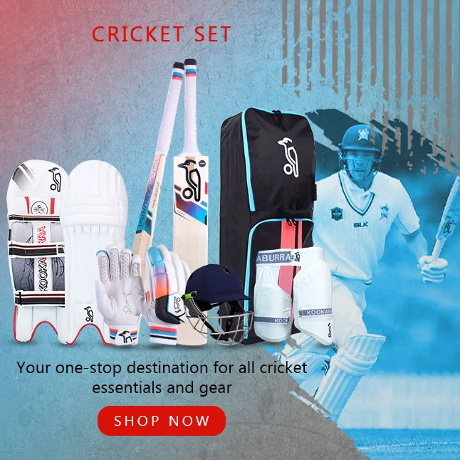 Cricket set
